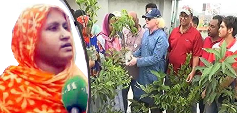 ছাদে গাছ কেটে ফেলা সেই নারী গ্রেপ্তার