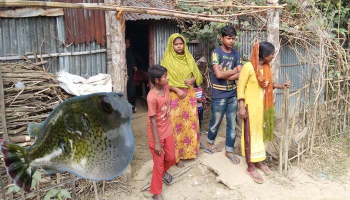 শ্রীমঙ্গলে পটকা মাছ খেয়ে বউ-শাশুড়ির মৃত্যু