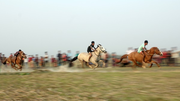 গোয়াইনঘাটে ঐতিহ্যবাহী ঘোড়া দৌড়