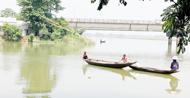 সুনামগঞ্জে মন্ত্রী চলে যাওয়ার পরই অবমুক্ত মাছ ধরার উৎসব